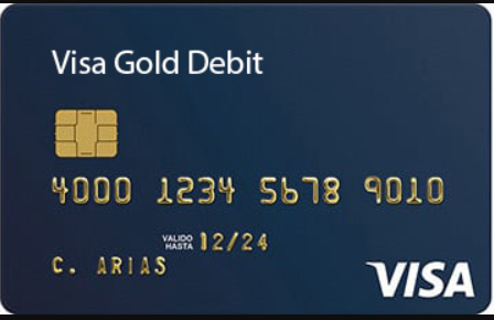 247DailyLogs – USA VISA [DEBIT] | $2500+ Balance